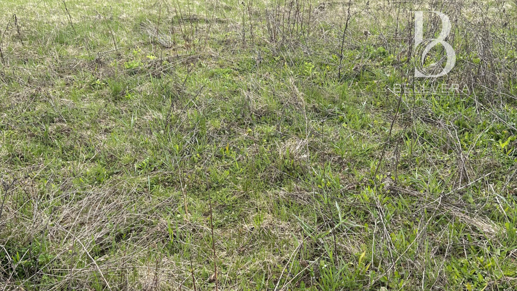 Nadštandardný pozemok 2 150 m² pod Malkovskou hôrkou
