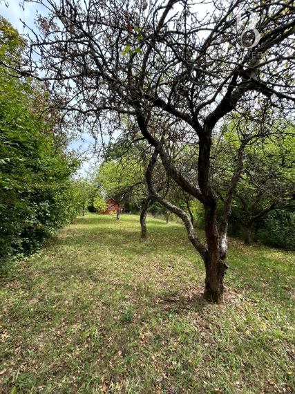 Záhrada s čarom prírody, Prešov