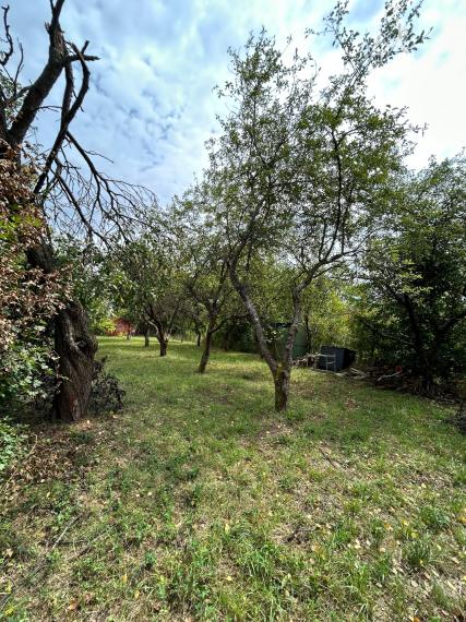 Záhrada s čarom prírody, Prešov