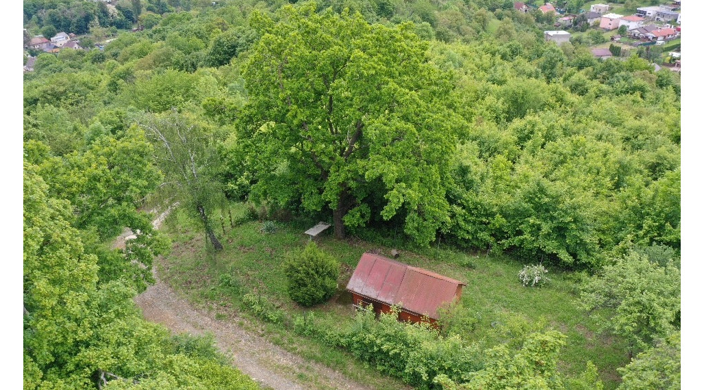 Záhrada s čarom prírody, Prešov