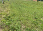 Stavebný pozemok 760 m², pre okamžitú výstavbu – Kojatice - fotografia 2