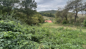 Stavebný pozemok 1269 m2 20 minút od Prešova - fotografia 10