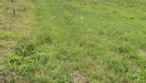 Stavebný pozemok 760 m², pre okamžitú výstavbu – Kojatice - fotografia 2
