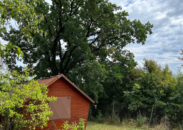 Záhrada s čarom prírody, Prešov