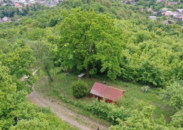 Záhrada s čarom prírody, Prešov