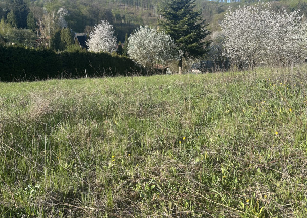 Nadštandardný pozemok 2 150 m² pod Malkovskou hôrkou