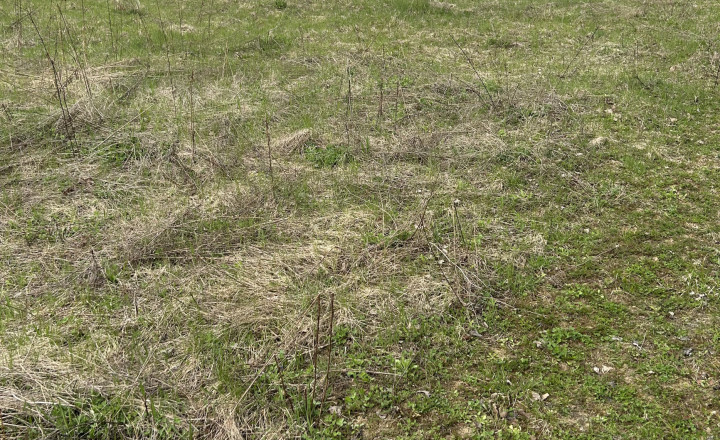 Nadštandardný pozemok 2 150 m² pod Malkovskou hôrkou - fotografia 3