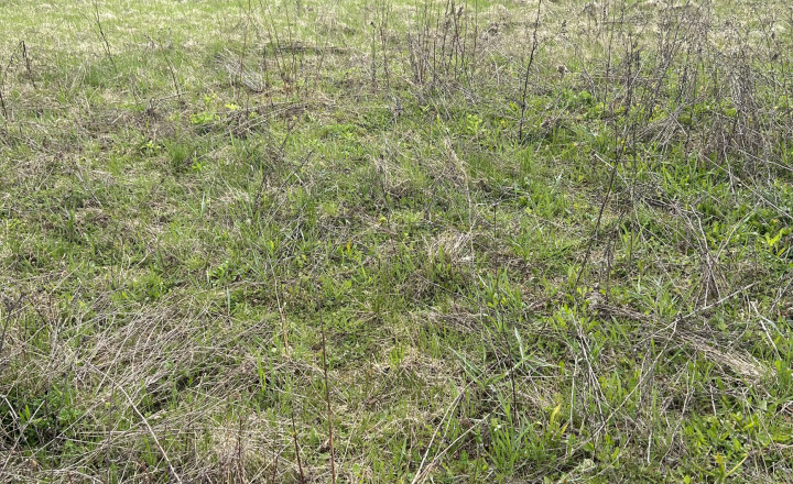 Nadštandardný pozemok 2 150 m² pod Malkovskou hôrkou - fotografia 2