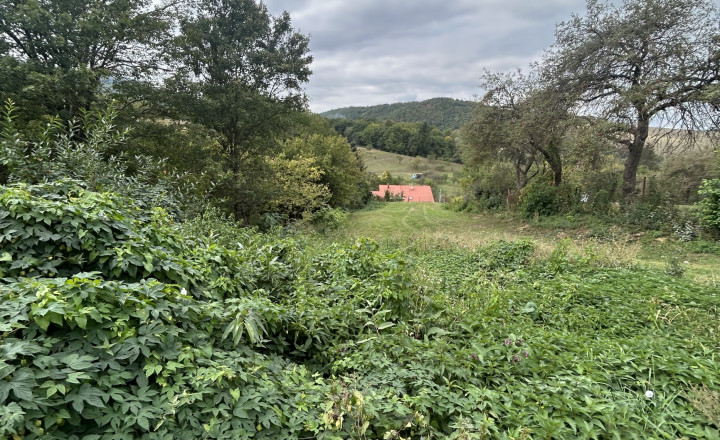 Stavebný pozemok 1269 m2 20 minút od Prešova - fotografia 9