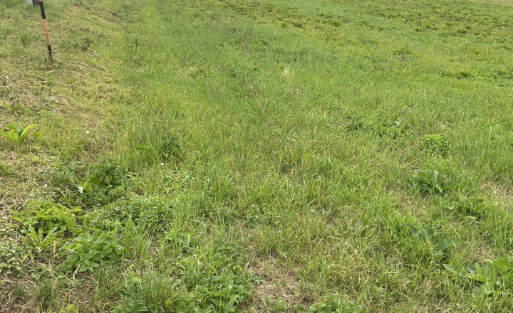 Stavebný pozemok 760 m², pre okamžitú výstavbu – Kojatice - fotografia 1