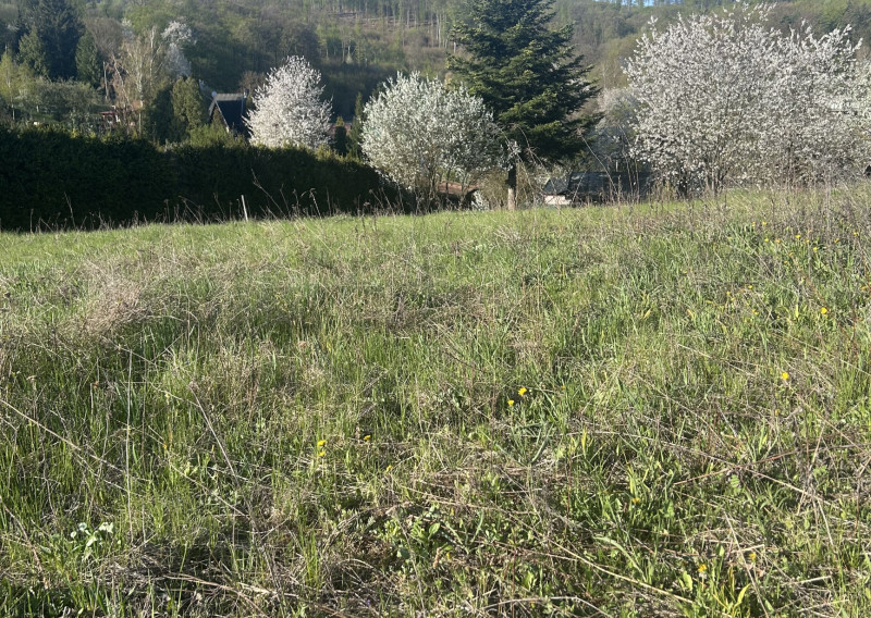 Nadštandardný pozemok 2 150 m² pod Malkovskou hôrkou